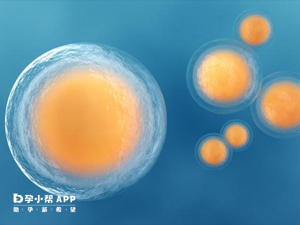 試管成功率會受年齡影響