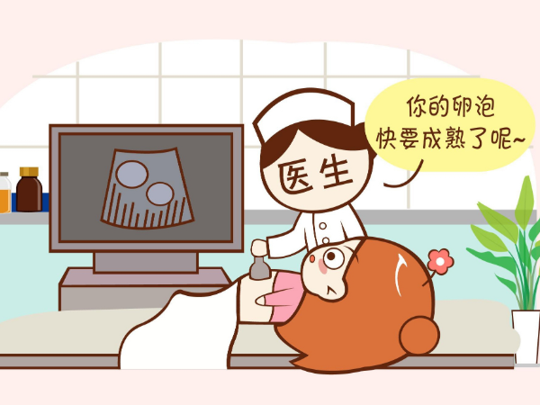 卵泡可通過B超檢測
